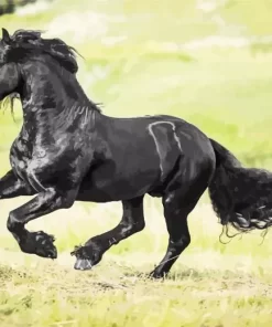 Black Horse Running Diamond Painting