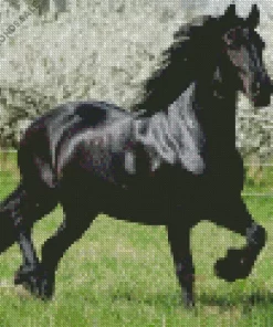 Black Horse With White Trees Diamond Painting