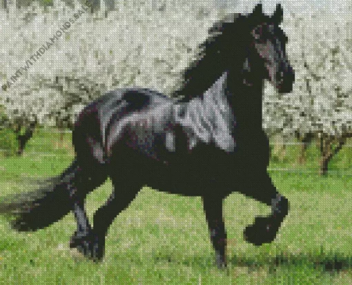 Black Horse With White Trees Diamond Painting