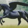 Black Horse With Wings Diamond Painting