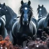 Black Horses Diamond Painting