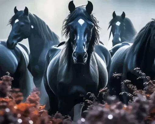 Black Horses Diamond Painting