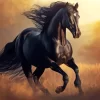 Black Horses Run Diamond Painting