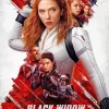 Black Widow Poster Diamond Painting