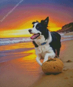 Border Collie In Beach Diamond Painting