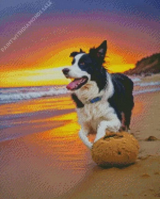 Border Collie In Beach Diamond Painting