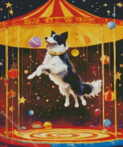 Border Collie Playing In Circus Diamond Painting