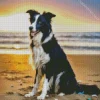 Border Collie With Beach Sunset Diamond Painting