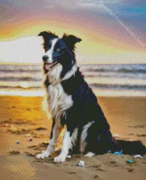 Border Collie With Beach Sunset Diamond Painting