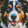 Border Collies Diamond Painting