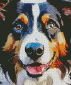 Border Collies Diamond Painting