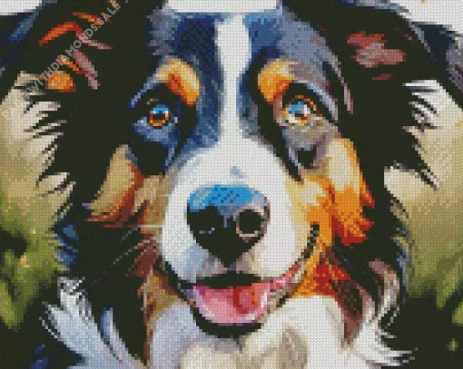 Border Collies Diamond Painting