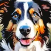 Border Collies Diamond Painting