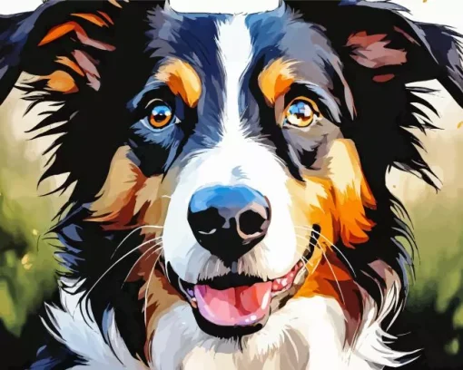 Border Collies Diamond Painting