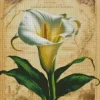 Calla Lily Diamond Painting