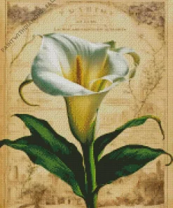 Calla Lily Diamond Painting