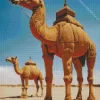 Camels Diamond Painting