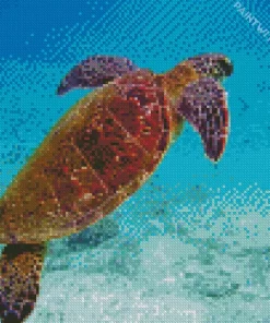 Chelonia Mydas Sea Turtle Diamond Painting