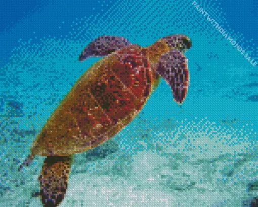 Chelonia Mydas Sea Turtle Diamond Painting