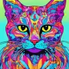 Colorful Cat Abstract Diamond Painting