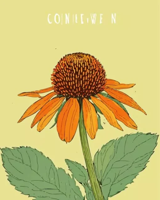 Coneflower Diamond Painting