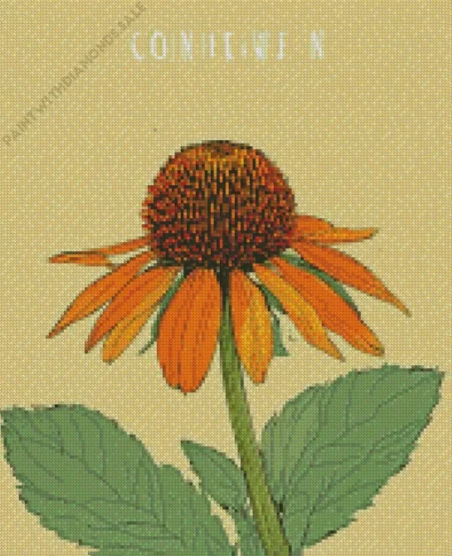 Coneflower Diamond Painting