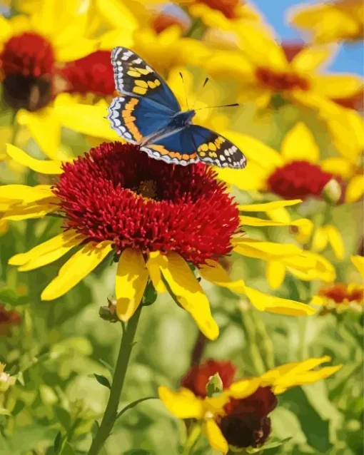 Coneflower And Butterfly Diamond Painting