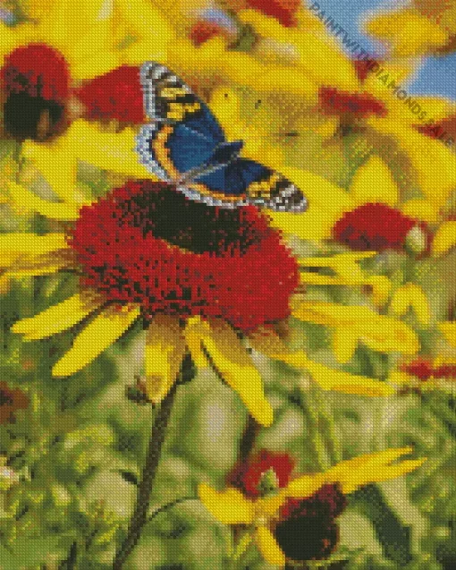 Coneflower And Butterfly Diamond Painting