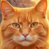 Cute Orange Cat Diamond Painting