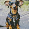 Dachshund Dog With Sunglasses Diamond Painting