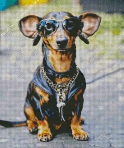 Dachshund Dog With Sunglasses Diamond Painting