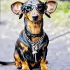 Dachshund Dog With Sunglasses Diamond Painting