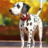 Dalmatian Diamond Painting