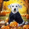 Dalmatian Dog In Halloween Clothes Diamond Painting