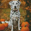 Dalmatian With Halloween Pumpkins Diamond Painting