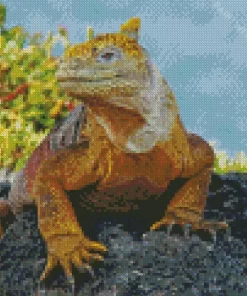 Galapagos Land Iguana Diamond Painting