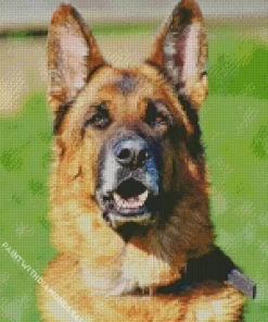 German Shepherd Animal Diamond Painting