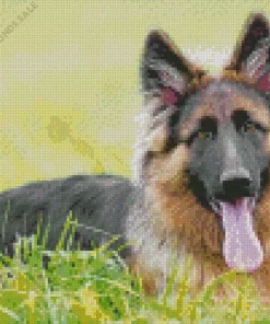 German Shepherd Diamond Painting