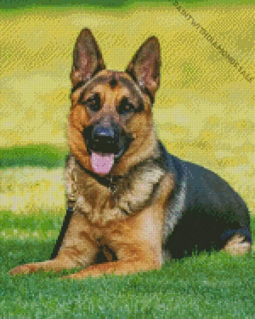 German Shepherd On Grass Diamond Painting