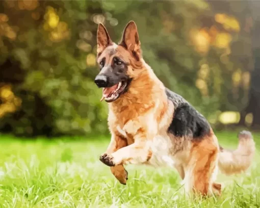 German Shepherd Playing Diamond Painting