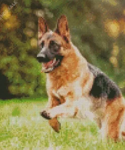 German Shepherd Playing Diamond Painting