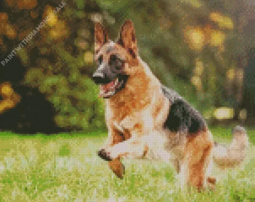 German Shepherd Playing Diamond Painting