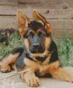 German Shepherd Puppy Diamond Painting