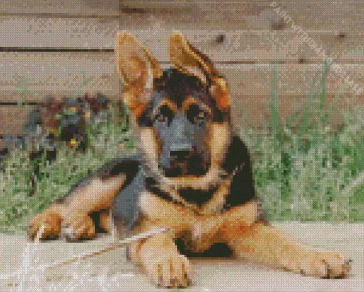 German Shepherd Puppy Diamond Painting