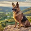 German Shepherd With Landscape Diamond Painting