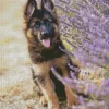 German Shepherd With Levender Diamond Painting