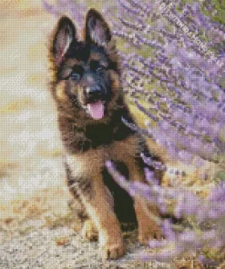 German Shepherd With Levender Diamond Painting