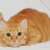 Ginger Cat Lying Down Diamond Painting