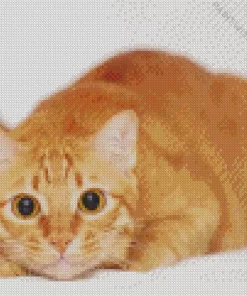 Ginger Cat Lying Down Diamond Painting