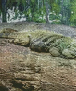 Grand Cayman Blue Iguana Diamond Painting